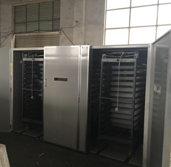 FRD-12672 Incubator & Hatcher