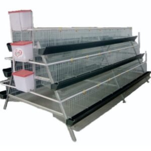Laying Cage for 192 Birds