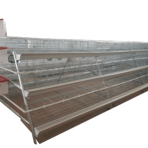 360 Bird Egg Laying Cage