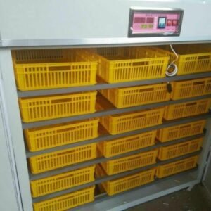 FRD-1584 Incubator & Hatcher