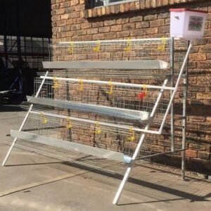 3-Tier layer cage
