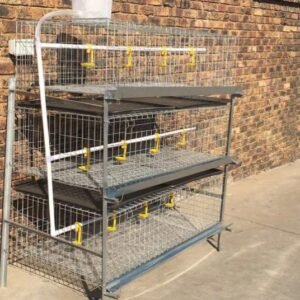 Broiler Cage / Baby Chicken Cage